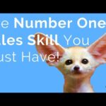 The Most Important Sales Skill