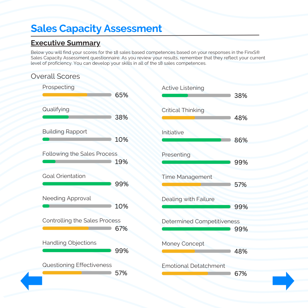 Sales Capacity Assessment